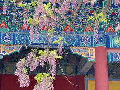 -北京国子监胡同