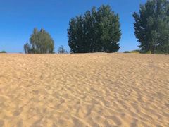 -东郊湿地公园