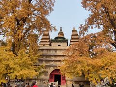 -北京石刻艺术博物馆(五塔寺)