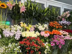 -FEI FEI FLOWER鲜花店·气球派对·宝宝宴布置(虹口德必运动Loft店)