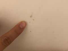 -苏州金鸡湖中茵皇冠假日酒店