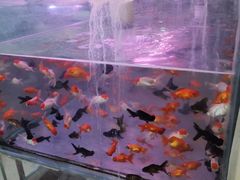 -金陵花卉交易市场