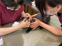 -宠颐生斯嘉宠物医院·急重症·心内科(谷阳北路分院)