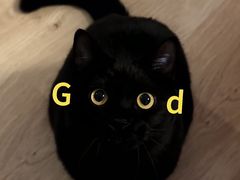 -炉小二铜锅牛蛙•川湘菜(三里屯店)