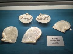 -青岛贝壳博物馆