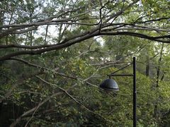 -草庵摩尼教遗址公园