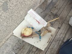 -哑巴生煎(临顿路店)