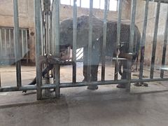 -石家庄市动物园