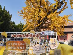 -苏州文庙(姑苏区)