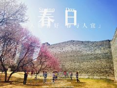 -北京明城墙遗址公园