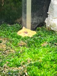 -酷嗒动物文化乐园(cutezoo西溪乐天城店)