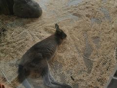-海合安武汉极地海洋公园
