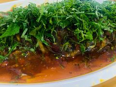 -老字号怡玺·藿香雅鱼(20年雅安店)