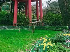 -南山植物园