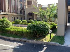 -奉贤东方美谷金汇敬老院·医护康复·日月星连锁(奉贤院)