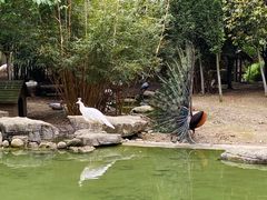 -黔灵山公园