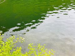 -双龙峡