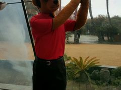 老虎伍兹-济州岛泰迪熊博物馆