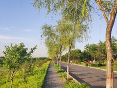 -洨河生态公园