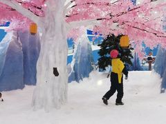 -长沙湘江冰雪世界