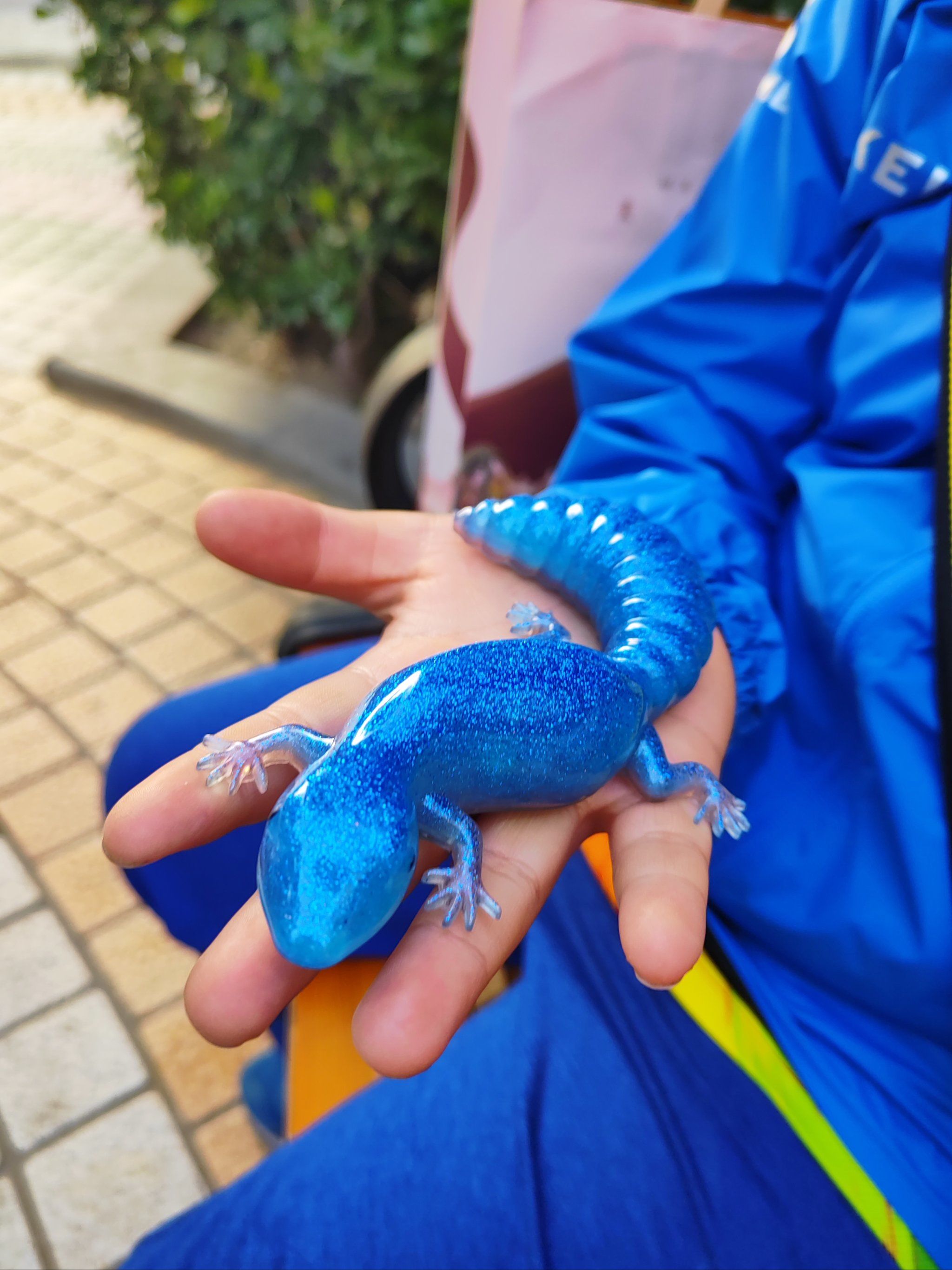 蓝色守宫冰箱贴