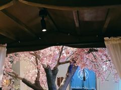 -绿茶餐厅(杭州黄龙K-lab店)