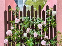 -深圳湾万象城(南山店)