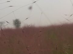 -郑东新区龙湖公共艺术中心