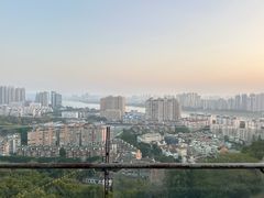 -福道