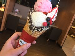 -哈根达斯(扬州瘦西湖店)