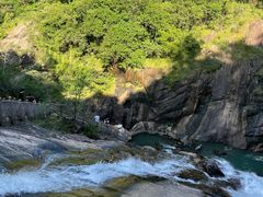 -广州白江湖森林公园