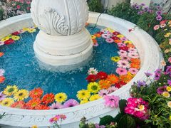 -秀儿家の小确幸花园西餐厅
