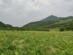 -白草畔自然风景区