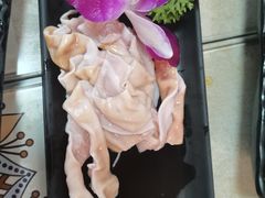 鲨鱼肚-丽江庭院之爱在路上(西单店)
