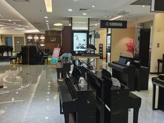 -知音艺术教育培训·钢琴培训·音乐培训(河西金鹰世界校区)