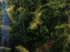 -粥六•新晋菜(柳巷店)