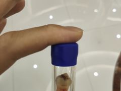 -泰康拜博口腔(凯迪大厦店)