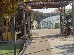-小鱼草莓采摘园农家乐·小鱼餐厅