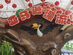 -南宫五洲植物乐园