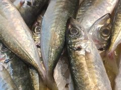 -浦商菜市场·锦德店