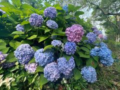 -东钱湖小普陀景区
