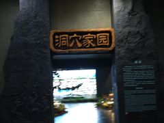 -柳州白莲洞洞穴科学博物馆