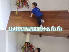 -金山农民画村-枫泾波兰倒置屋