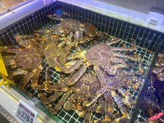 -开海·红岛海鲜虾水饺(石老人店)