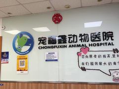 -宠福鑫动物医院(城北分院)