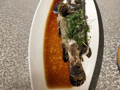 -达叔香味海鲜(海棠68环球美食街店)