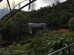 -怀托摩萤火虫洞