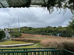 -瓷天下海丝谷