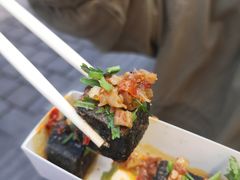 -董顺桃小粒臭豆腐(太平街一店)