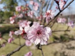 -杭州九堡客运中心